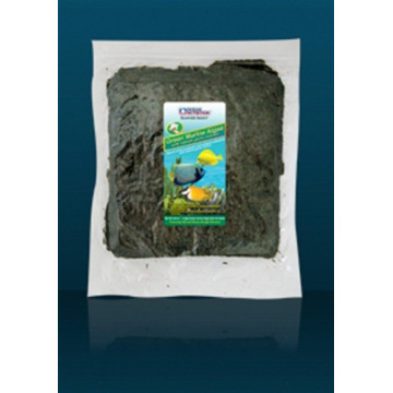 Ocean Nutrition™ Brown Seaweed 50 feuilles 