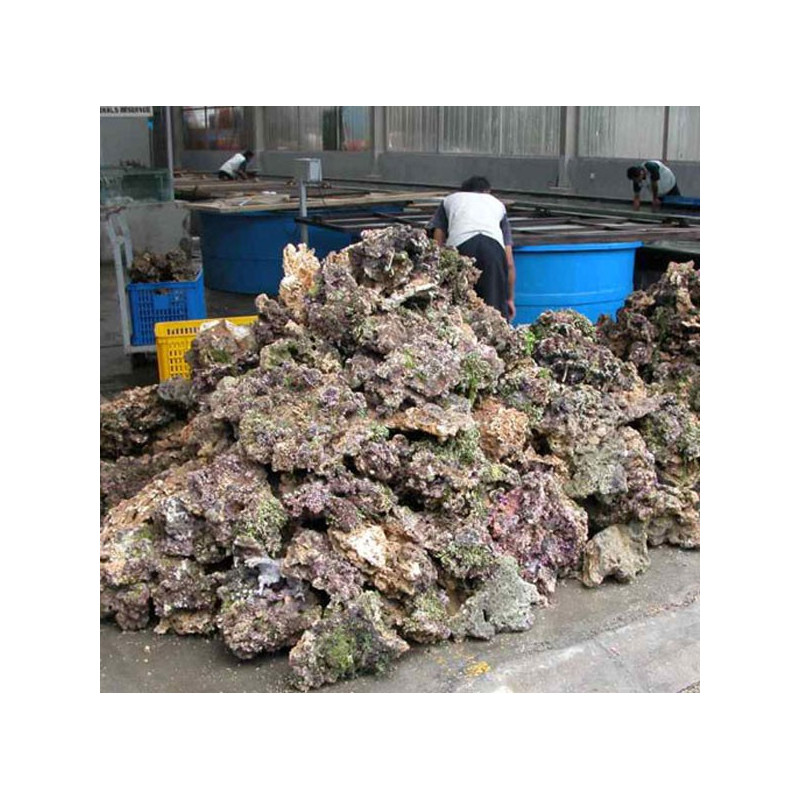 Indonesië Aquacultuurstenen verkocht op kilo