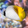 Chaetodon auriga : 7 à 10 cm