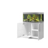 Oase aquarium