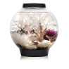 Oase biOrb aquarium CLASSIC LED 15 LED noir