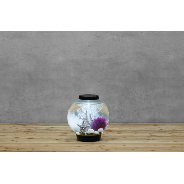 Oase biOrb aquarium CLASSIC LED 15 LED noir
