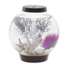 Oase biOrb aquarium CLASSIC LED 15 LED noir