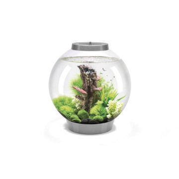 Oase biOrb aquarium CLASSIC 30 MCR blanc