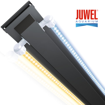 Juwel multilux LED 55 CM pour Trigon 350 2x10w