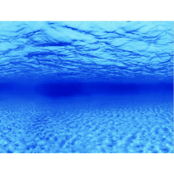 Superfish deco Poster F3 100x49cm