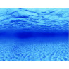 Superfish deco Poster F3 100x49cm