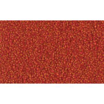 Tetra Goldfish Pro
