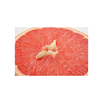 Dr.Bassleer Biofish Food gse/moringa XL 1,2 à 1,6 mm: pour poissons de plus de 10 cm