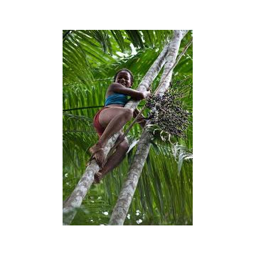 Dr.Bassleer Biofish Food acai XL 1,2 à 1,6 mm pour poissons de plus de 10 cm