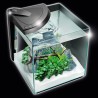 NeWa More® aquarium NM0 30 noir