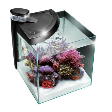 NeWa More® reef aquarium NM0 30RW blanc
