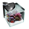 NeWa More® reef aquarium NM0 30RW blanc