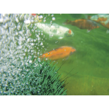 Oase OxyTex 1000 aérateur de bassin