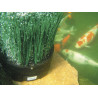 Oase OxyTex 1000 aérateur de bassin