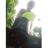 Oase AquaSkim 40