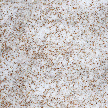 Sera Artemia-Mix (18gr)