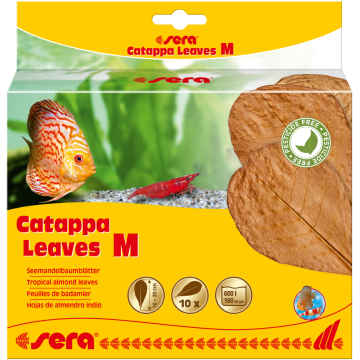 Sera Catappa Leaves M 16 – 20 cm 10 pces