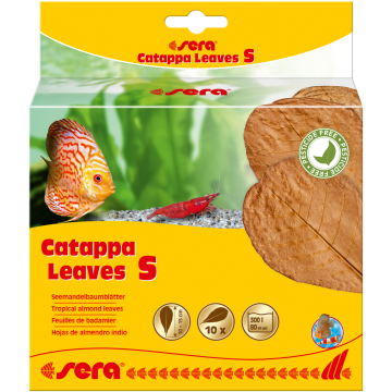 Sera Catappa Leaves S 10 – 15 cm 10 pces