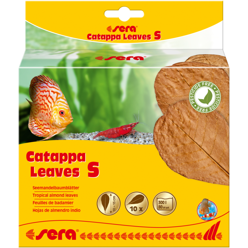 Sera Catappa Leaves S 10 – 15 cm 10 pces