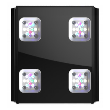 GHL Mitras LX 7X06 eau douce 6 LED-Cluster, 9 canaux disponible en noir ou blanc