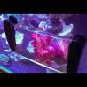 Maxspect Fragnifier  79,90 €