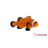 Amphiprion Ocellaris "Naked" 2-4 cm