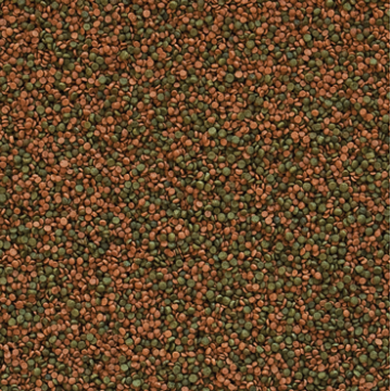 Tropical CICHLID GRAN 