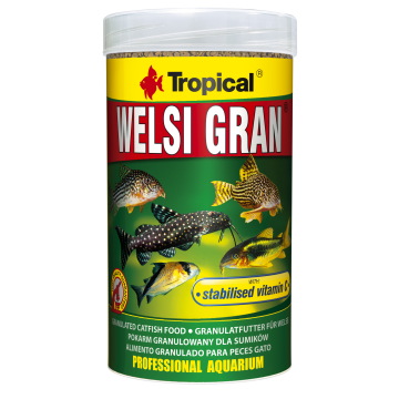Tropical WELSI GRAN 