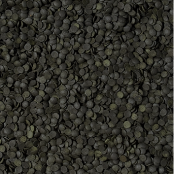 Tropical SUPER SPIRULINA FORTE CHIPS 250ml
