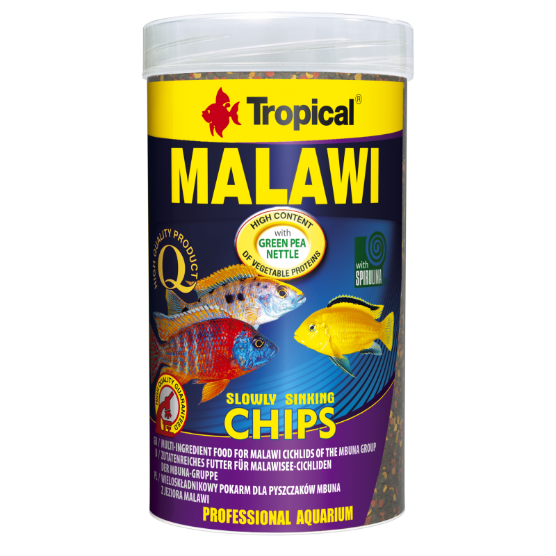 Tropical MALAWI  CHIPS 