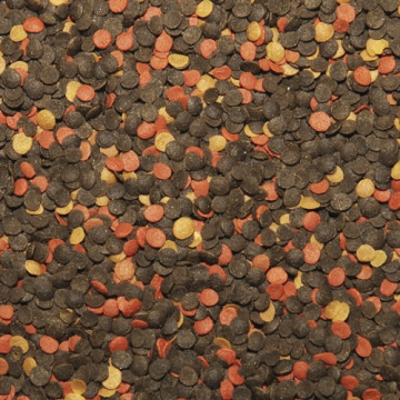 Tropical MALAWI  CHIPS 