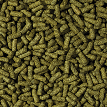 Tropical CICHLID SPIRULINA LARGE STICKS 10 litres/3KG (sur commande)