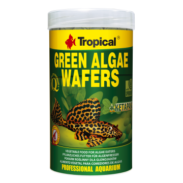 Tropical GREEN ALGAE WAFERS 