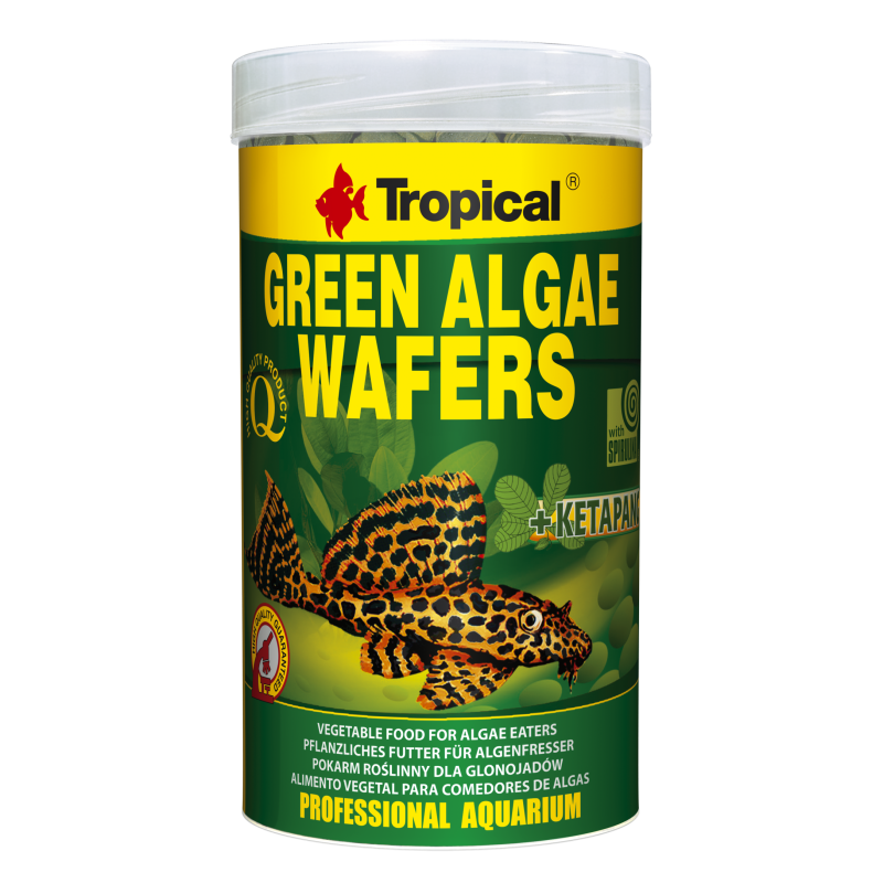 Tropical GREEN ALGAE WAFERS 