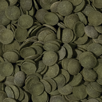 Tropical GREEN ALGAE WAFERS 