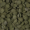 Tropical GREEN ALGAE WAFERS 