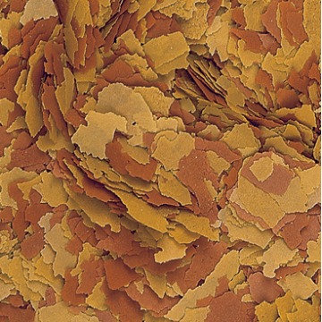 Tropical VITALITY & COLOR 11 litres (sur commande)