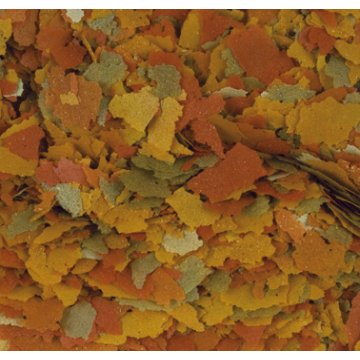 Tropical GOLDFISH COLOR  