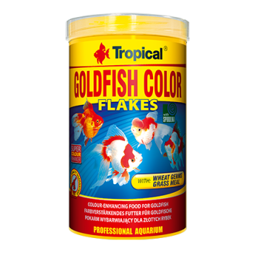 Tropical GOLDFISH COLOR  
