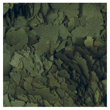 Tropical SUPER SPIRULINA FORTE 250ml