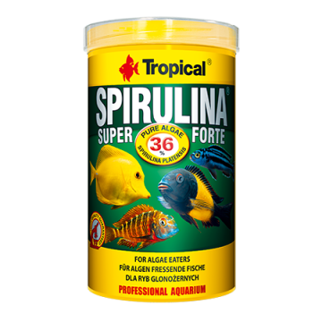 Tropical SUPER SPIRULINA FORTE 36% 1000ml