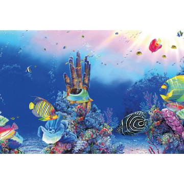 Superfish deco Poster F5 120x61cm