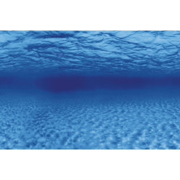 Superfish deco Poster F6 150x61cm