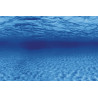 Superfish deco Poster F6 150x61cm