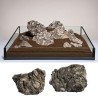Pierre Black Snailstone (S062) le Kg