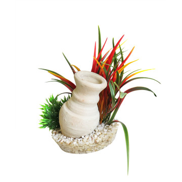 Sydeco Cannon Grass H : 15 cm 