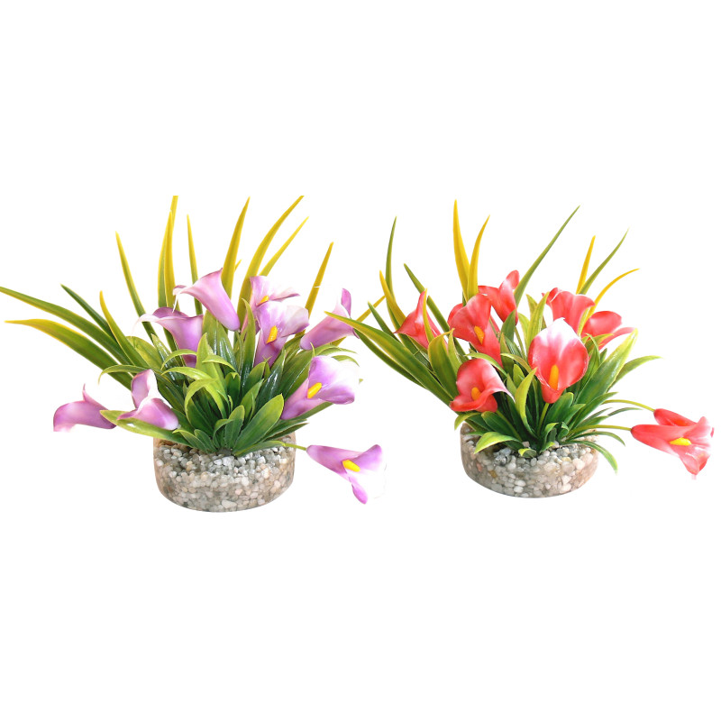Sydeco Cala Lily H 9 cm 