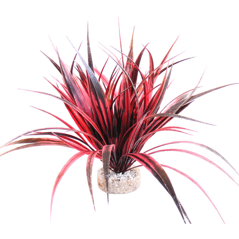 Sydeco Amazonia H 22 cm 