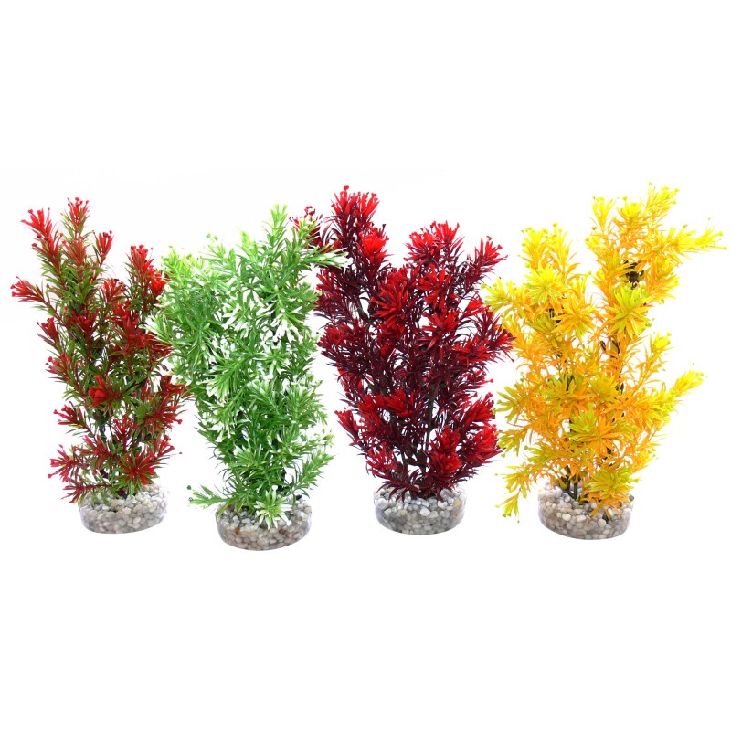 Sydeco Jungle Medium H 28 cm lot de 4 plantes 